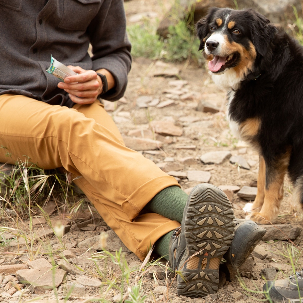 Keen Black Olive-Golden Brown Men's Targhee III Waterproof Mid