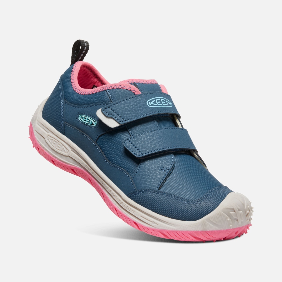 Blue Wing Teal-Fruit Dove Keen Big Kids' Speed Hound