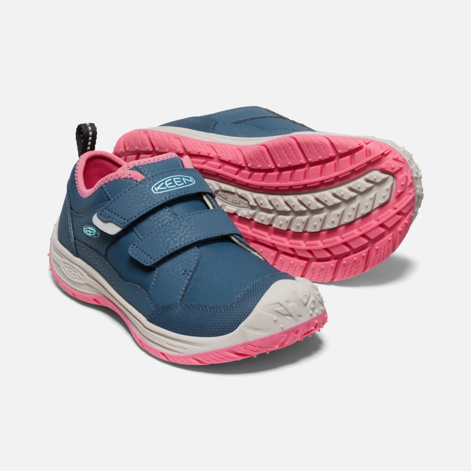 Blue Wing Teal-Fruit Dove Keen Big Kids' Speed Hound