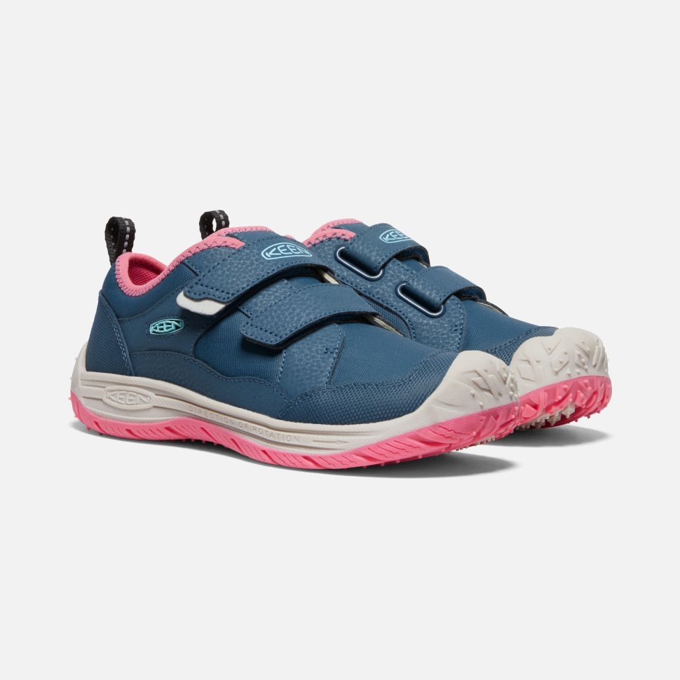 Blue Wing Teal-Fruit Dove Keen Big Kids' Speed Hound