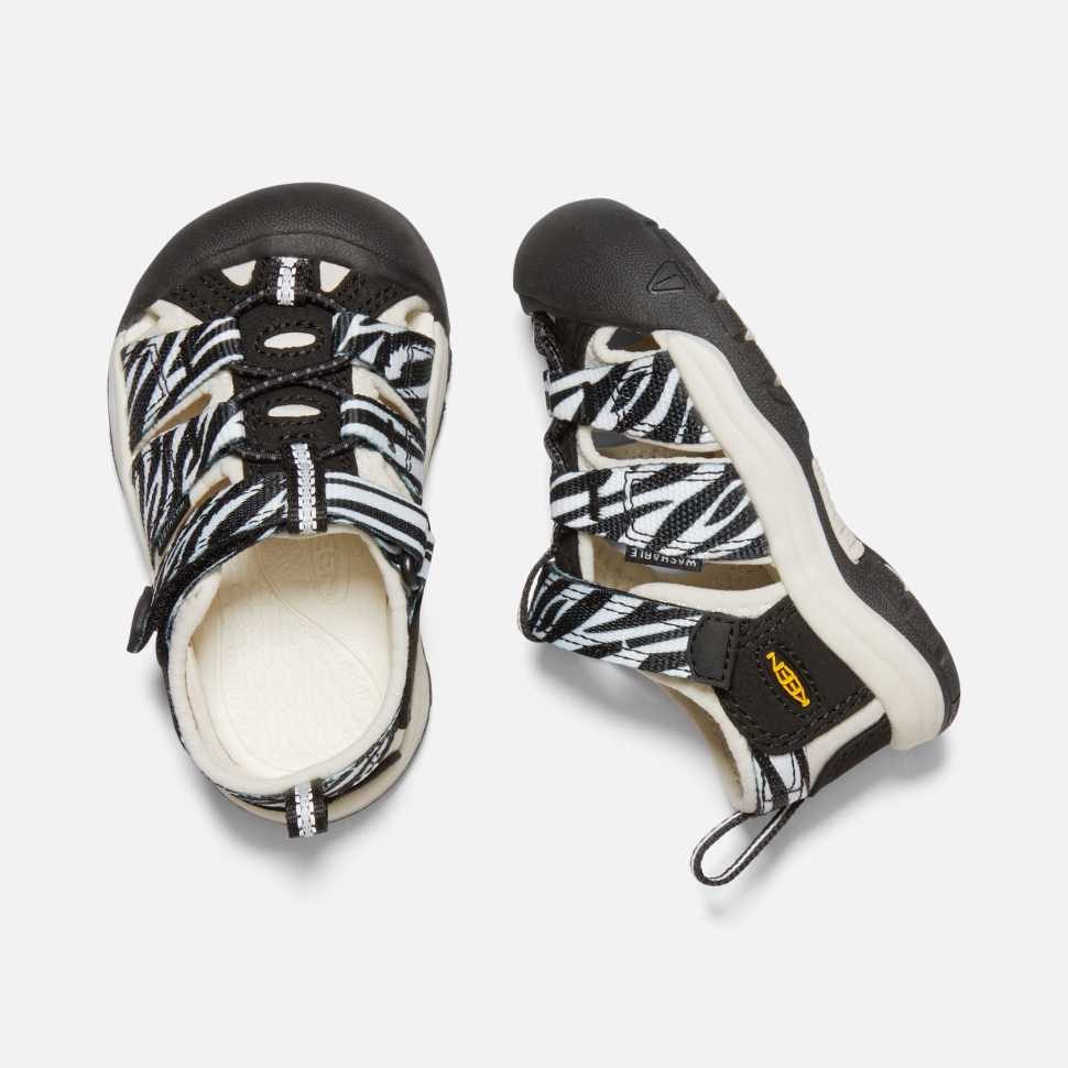 Atms Zebra Star Keen Toddlers' Newport H2