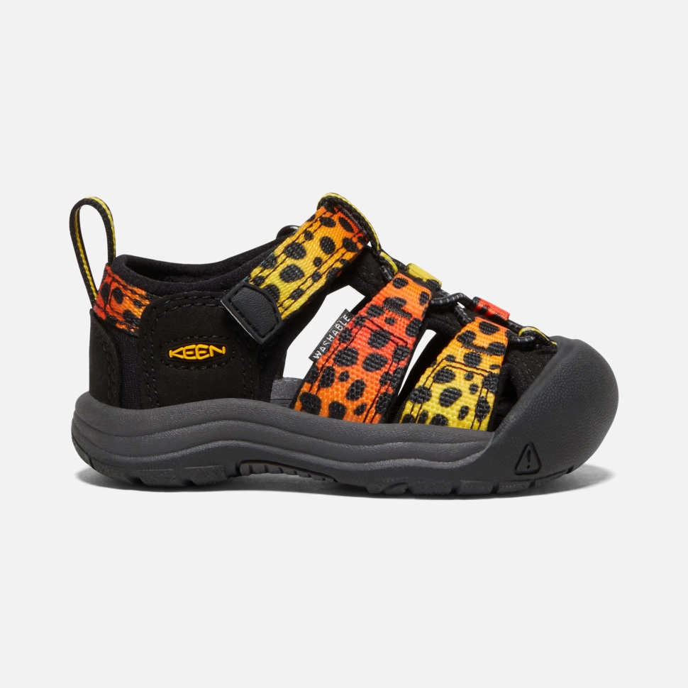 cheetah_rainbow_keen_toddlers_newport_h2.jpg Cheetah Rainbow Keen Toddlers' Newport H2 - Image 1