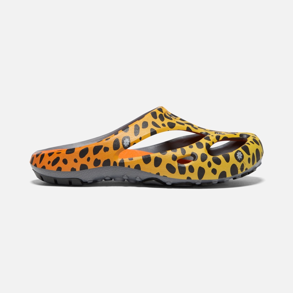 thc_cheetah_rainbow_mens_shanti_arts_keen.jpg THC Cheetah Rainbow Men's Shanti Arts Keen - Image 1